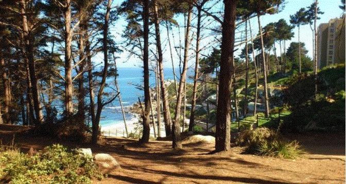 Departamento Algarrobo Condominio Laguna 외부 사진